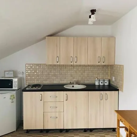 Apartment Garsoniera Busteni